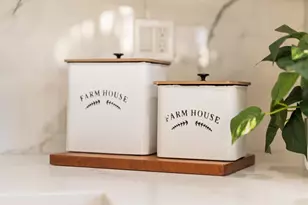 582 Palmetto Dr, San Jose, CA 95111 - Photo 15