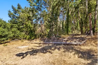 Address Not Disclosed, Aromas, CA 95004 - Photo 13