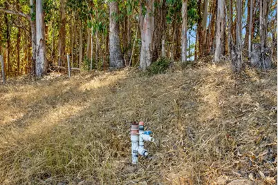 Address Not Disclosed, Aromas, CA 95004 - Photo 5