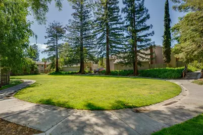10170 Firwood Dr, Cupertino, CA 95014 - Photo 67