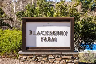 10170 Firwood Dr, Cupertino, CA 95014 - Photo 91