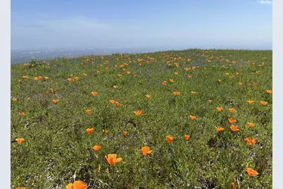 17599 Montebello Rd, Cupertino, CA 95014 - Photo 79