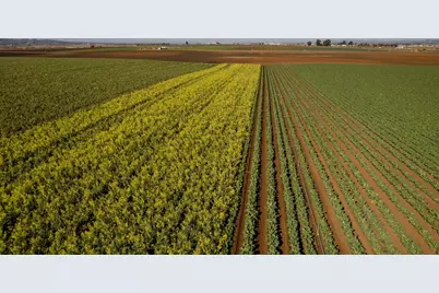 Somavia Rd, Salinas, CA 93908 - Photo 5