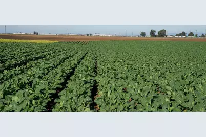 Somavia Rd, Salinas, CA 93908 - Photo 9