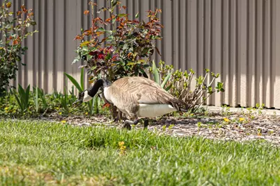 225 Mt Hermon Rd 54, Scotts Valley, CA 95066 - Photo 29