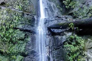 365 Race Horse Ln, Watsonville, CA 95076 - Photo 65