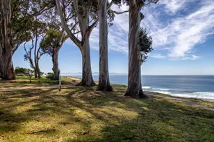 365 Race Horse Ln, Watsonville, CA 95076 - Photo 59