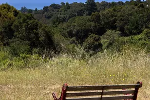 365 Race Horse Ln, Watsonville, CA 95076 - Photo 57