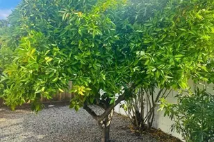 1102 Blue Lake Square, Mountain View, CA 94040 - Photo 29