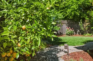 6235 Tillamook, San Jose, CA 95123 - Photo 41