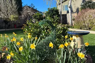 1536 Jackdow Ct, Gilroy, CA 95020 - Photo 45