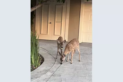 496 Golfview Dr, San Jose, CA 95127 - Photo 37