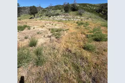 109 Trampa Canyon Road, Carmel Valley, CA 93924 - Photo 9