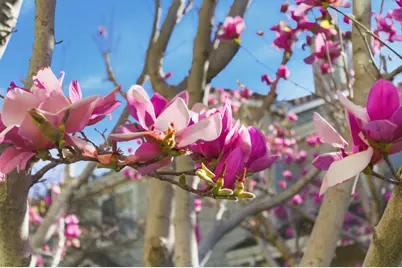 509 Porpoise Bay Ter C, Sunnyvale, CA 94089 - Photo 13