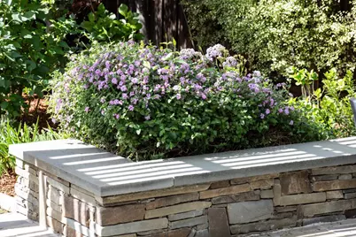 384 Hawthorne Ave, Los Altos, CA 94022 - Photo 27