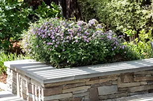 384 Hawthorne Ave, Los Altos, CA 94022 - Photo 27