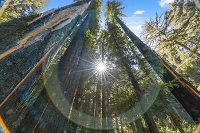 11800 Clear Creek Rd, Brookdale, CA 95007 - Photo 41