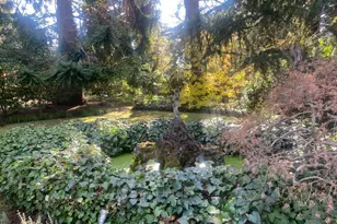 269 Selby Ln, Atherton, CA 94027 - Photo 21