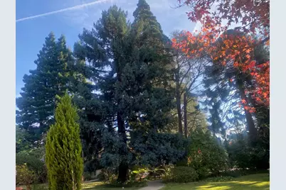 269 Selby Ln, Atherton, CA 94027 - Photo 29