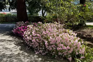 269 Selby Ln, Atherton, CA 94027 - Photo 23