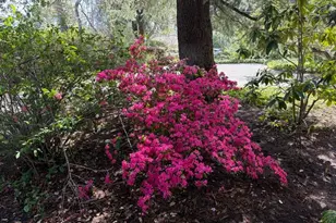 269 Selby Ln, Atherton, CA 94027 - Photo 25