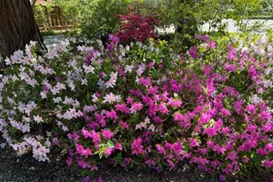 269 Selby Ln, Atherton, CA 94027 - Photo 19