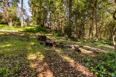 250 Keller Dr, Boulder Creek, CA 95006 - Photo 31