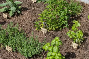 2614 Ohio Ave, Redwood City, CA 94061 - Photo 55