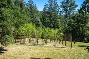 20471 Black Rd, Los Gatos, CA 95033 - Photo 65