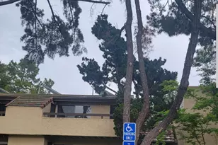 279 Tradewinds Dr 6, San Jose, CA 95123 - Photo 1