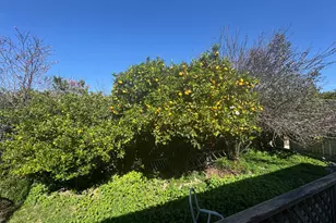 36569 Beutke Dr, Newark, CA 94560 - Photo 7