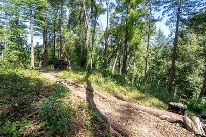 973 Forest Way, Brookdale, CA 95007 - Photo 53