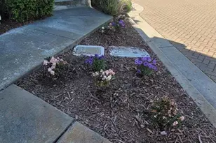 7350 Carter Ave, Newark, CA 94560 - Photo 3