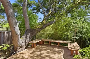 2060 Bunker Hill Dr, San Mateo, CA 94402 - Photo 47