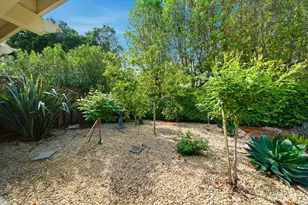1826 Waverley St, Palo Alto, CA 94301 - Photo 71