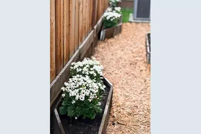 217 Athena Ct, Mountain View, CA 94043 - Photo 5