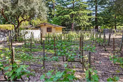 14176 Quail Acres, Saratoga, CA 95070 - Photo 37