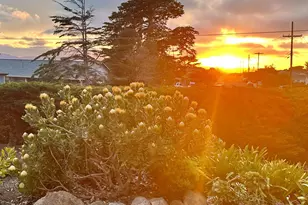 1976 Luzern St, Seaside, CA 93955 - Photo 49