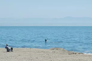 145 Bennett Rd, Aptos, CA 95003 - Photo 37