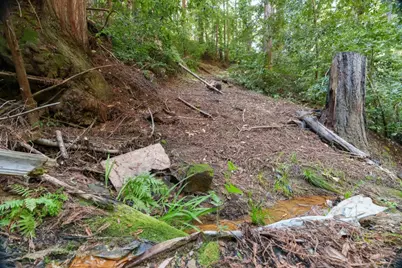 2950 Bear Canyon Rd, Los Gatos, CA 95033 - Photo 79