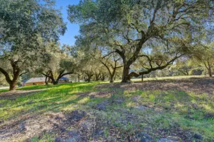 141 Whistler Ct, Scotts Valley, CA 95066 - Photo 41