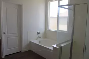 233 American Farms Ave, Lathrop, CA 95330 - Photo 11