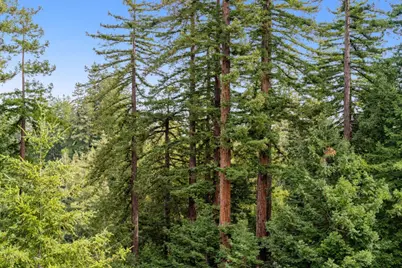 608 Lassen Park Ct, Scotts Valley, CA 95066 - Photo 27