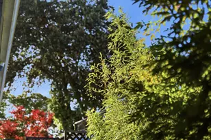 852 Peach Ave, Sunnyvale, CA 94087 - Photo 87