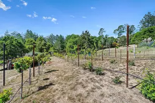 321 Pine Forest Dr, Aptos, CA 95003 - Photo 57