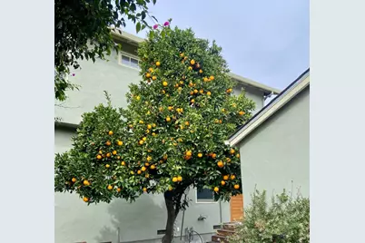 1486 Burrell Ct, San Jose, CA 95126 - Photo 45