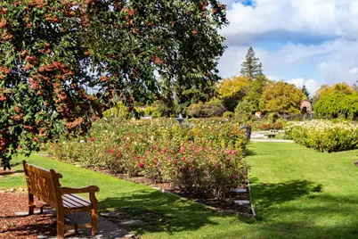 1486 Burrell Ct, San Jose, CA 95126 - Photo 81