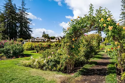 1486 Burrell Ct, San Jose, CA 95126 - Photo 77