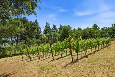 19534 Montevina Rd, Los Gatos, CA 95033 - Photo 89