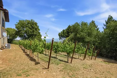 19534 Montevina Rd, Los Gatos, CA 95033 - Photo 85